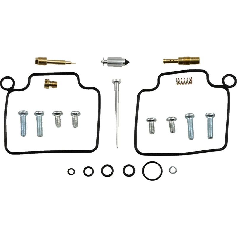Carburetor Repair Kit