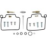Carburetor Repair Kit