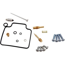 Carburetor Repair Kit