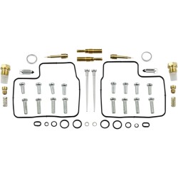 Carburetor Repair Kit