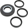 Differential Seal Kit