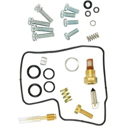 Carburetor Repair Kit
