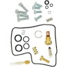 Carburetor Repair Kit