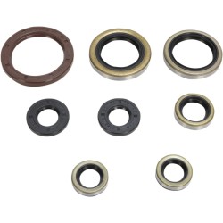 Motor Oil Seals