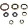 Motor Oil Seals