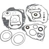 Complete Gasket and Oil Seal Kit