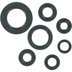 Motor Oil Seals