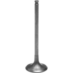 Tensilite  Titanium Engine Valve