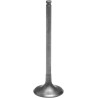 Tensilite  Titanium Engine Valve
