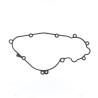 Ignition Gasket