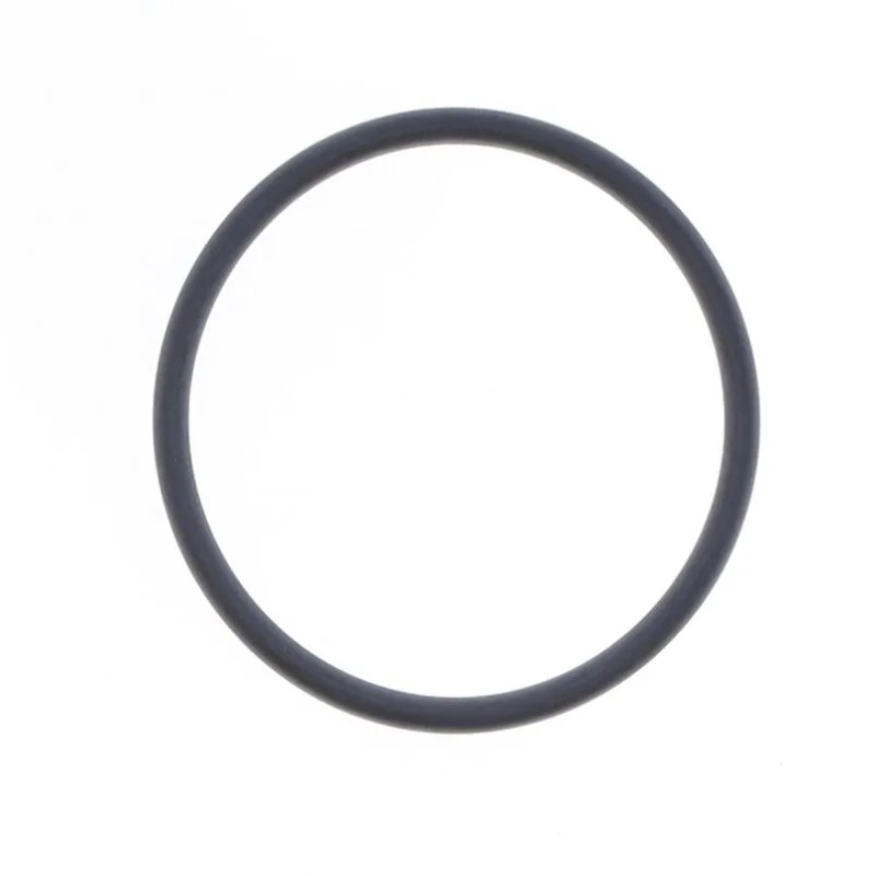 Exhaust Gasket
