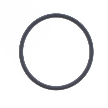 Exhaust Gasket