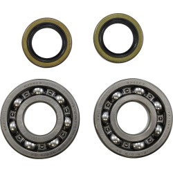 Main Bearing and Seal Kit
