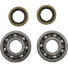 Main Bearing and Seal Kit