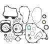 Complete Gasket and Oil Seal Kit