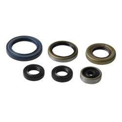 Engine Oil Seal