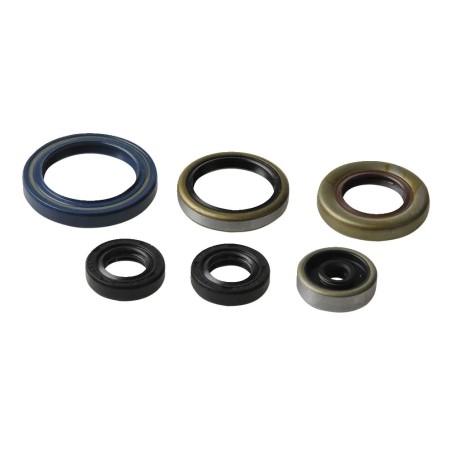 Engine Oil Seal