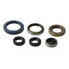 Engine Oil Seal