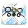 Engine Oil Seal