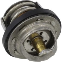 Thermostat de rechange - Polaris