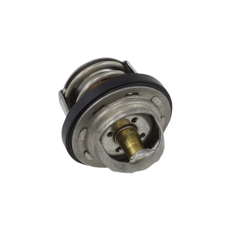 Replacement Thermostat - Polaris
