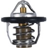 Replacement Thermostat - Polaris