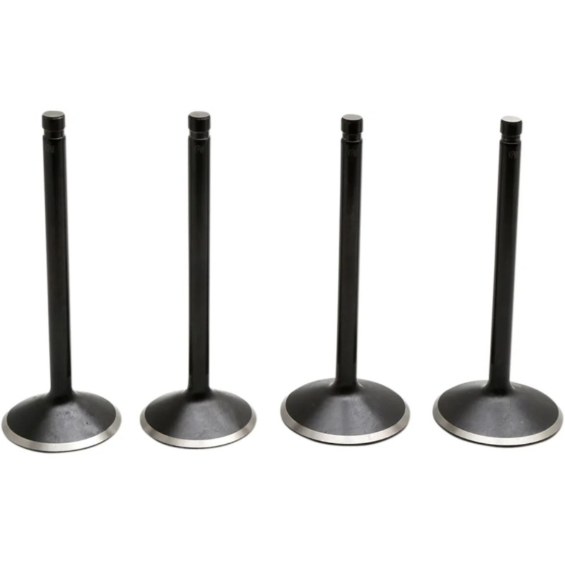 Black Diamond  Engine Valve Kit