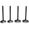 Black Diamond  Engine Valve Kit
