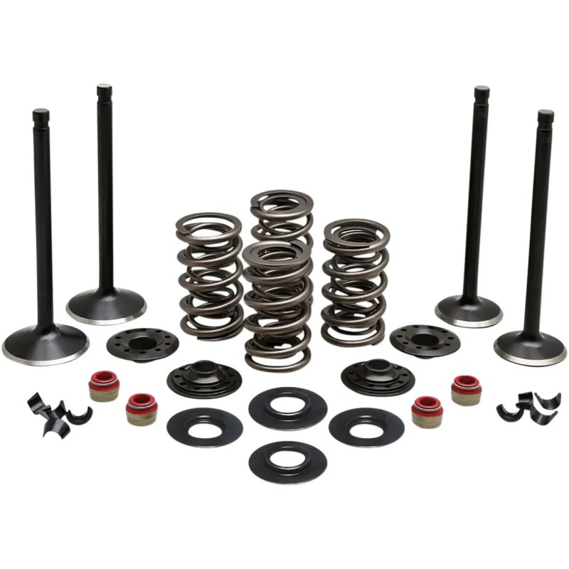 Engine Valve Kit