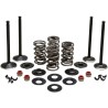Engine Valve Kit