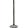 Tensilite  Titanium Engine Valve