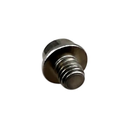 Bolt Mounting Screw