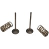 Valve and Spring Kit