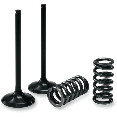 Valve and Spring Kit