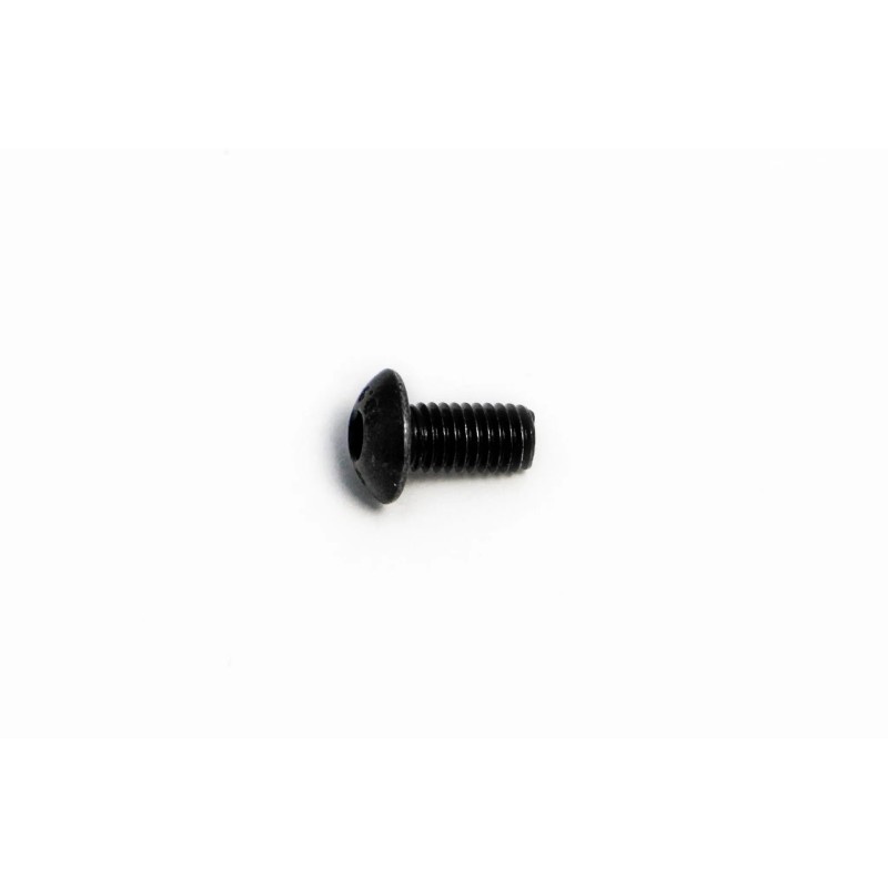 Bolt Mounting Screw