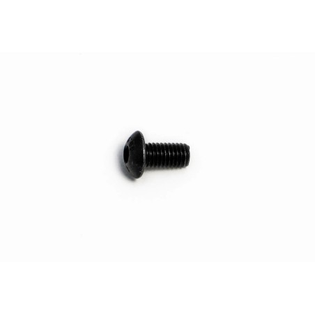 Bolt Mounting Screw