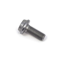 Bolt Mounting Screw