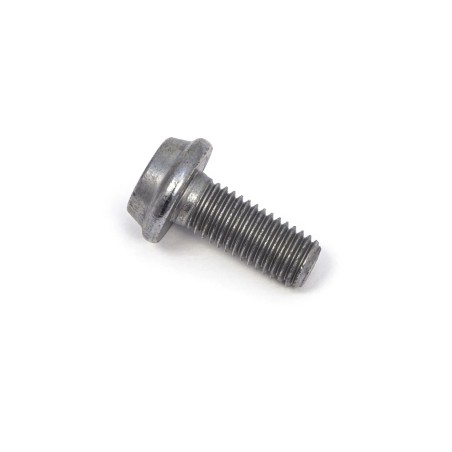 Bolt Mounting Screw