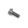 Bolt Mounting Screw