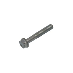 Bolt Mounting Screw