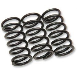 Clutch Spring Kit