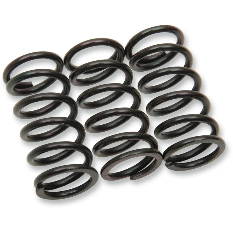 Clutch Spring Kit