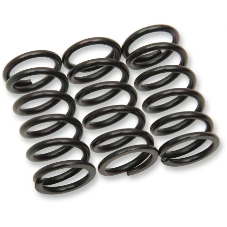 Clutch Spring Kit