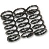 Clutch Spring Kit