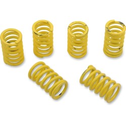 Clutch Spring Kit