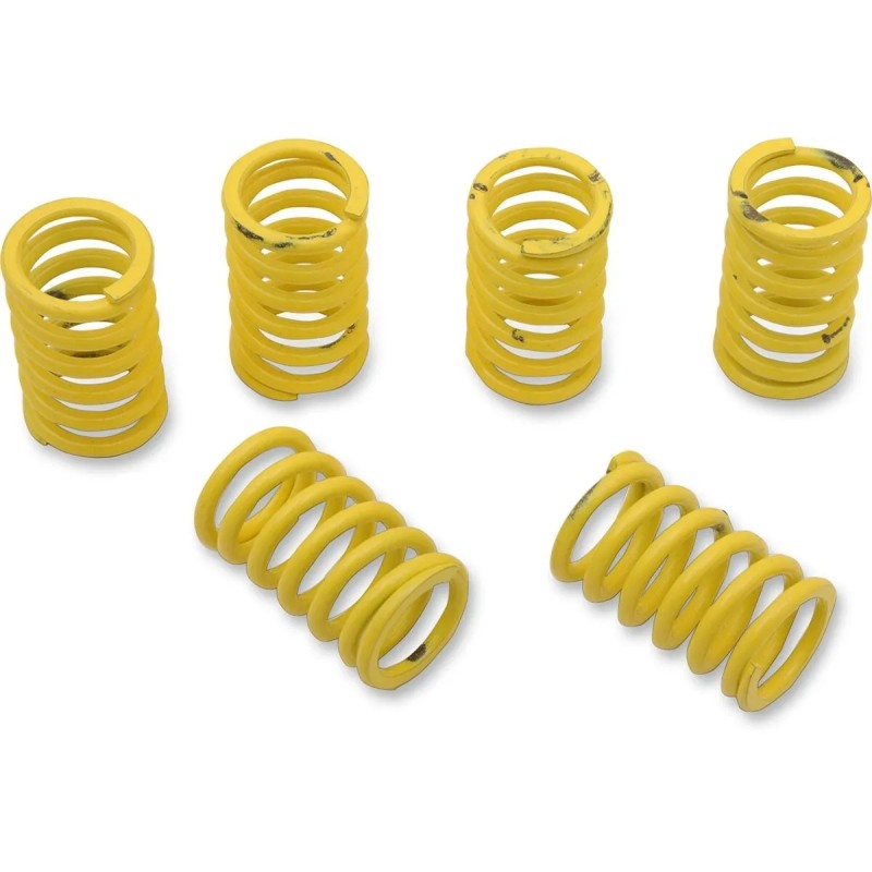 Clutch Spring Kit