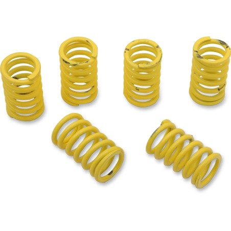 Clutch Spring Kit