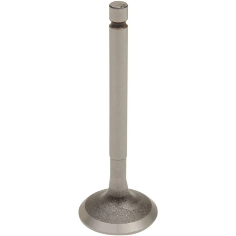 Engine Valve