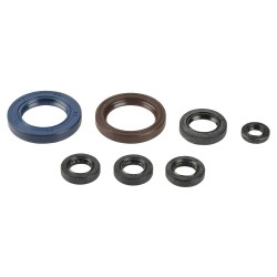 Engine Oil Seal