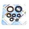 Engine Oil Seal